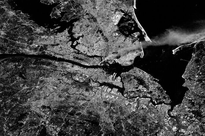 39 Wild Rabbit Holes That Totally Sucked People In