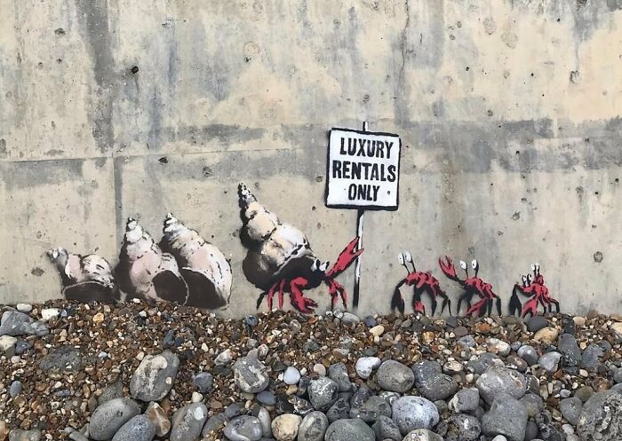 Let's Peek at 45 Mind-Blowing Walls That Turn Boring Into Wow