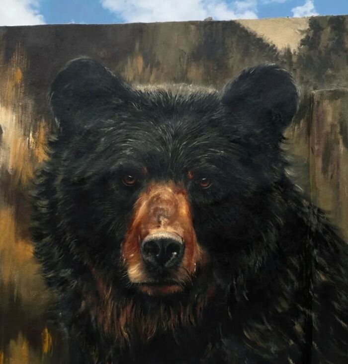 Let's Take a Wild Tour of Lisbon's Street Art Wonderland!