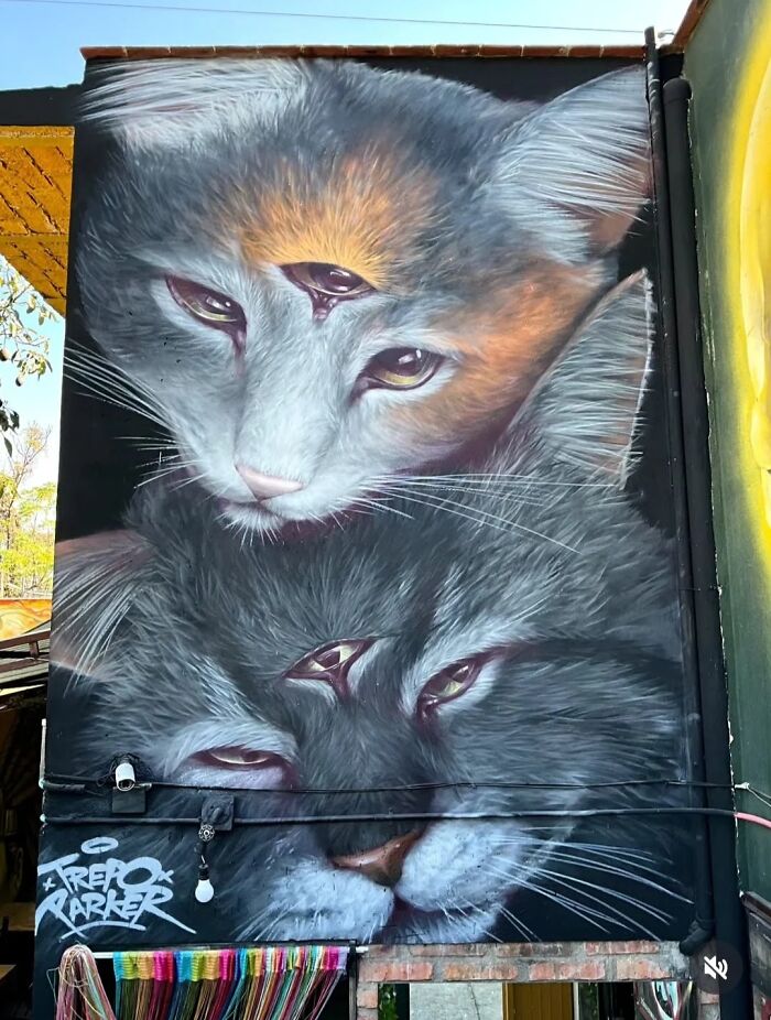 Let's Take a Wild Tour of Lisbon's Street Art Wonderland!