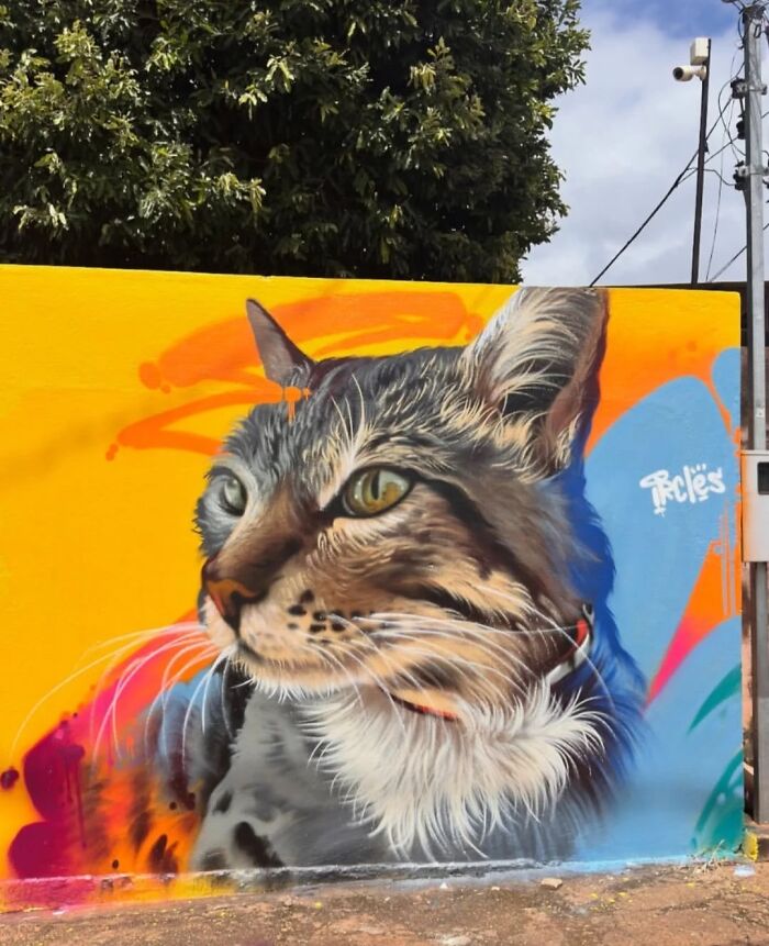 Let's Take a Wild Tour of Lisbon's Street Art Wonderland!