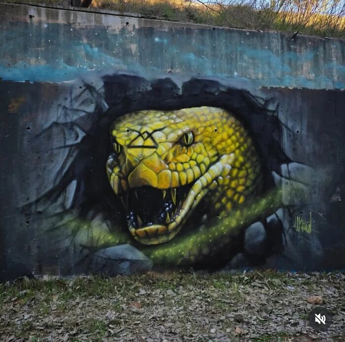 Let's Take a Wild Tour of Lisbon's Street Art Wonderland!