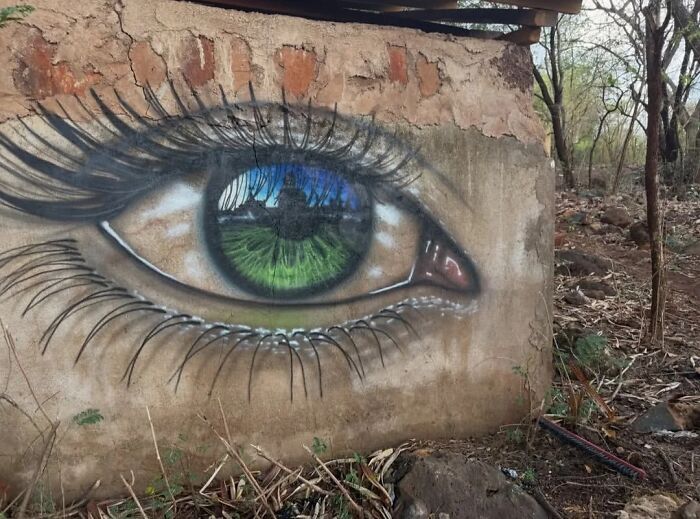 Let's Take a Wild Tour of Lisbon's Street Art Wonderland!