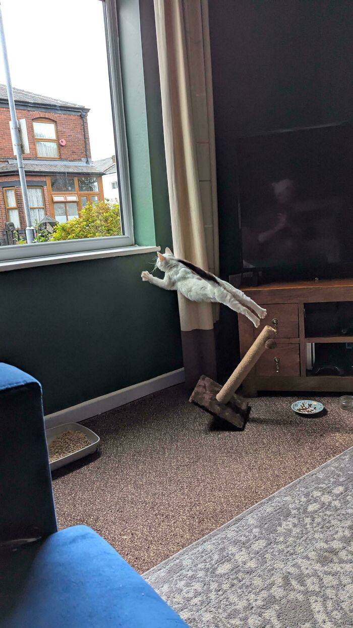 First Flight? More Like First 'Wow, That Looks Like a Painting!'