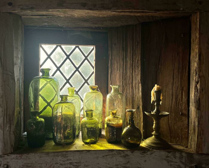 Did I Just Snap a Masterpiece? Didn’t Even Plan It!