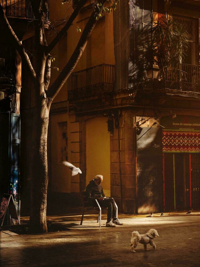 Wait, Did I Understand This Subreddit Right or Wrong?!