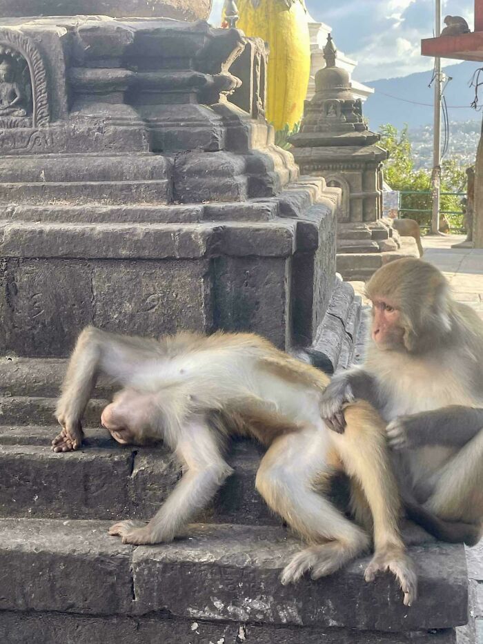 Oops! These Photos Look Like They Jumped Straight Out of a Renaissance Painting