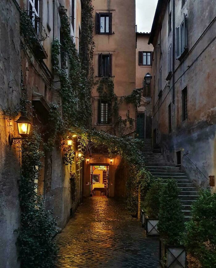 Oops! These Photos Look Like They Jumped Straight Out of a Renaissance Painting