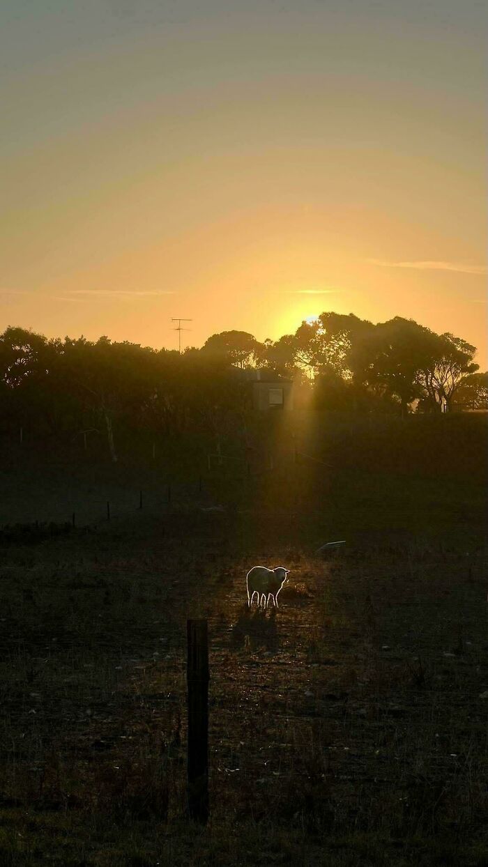 Oops! These Photos Look Like They Jumped Straight Out of a Renaissance Painting
