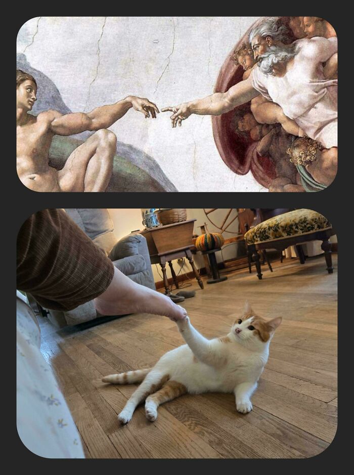 Oops! These Photos Look Like They Jumped Straight Out of a Renaissance Painting