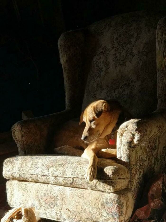 Oops! These Photos Look Like They Jumped Straight Out of a Renaissance Painting