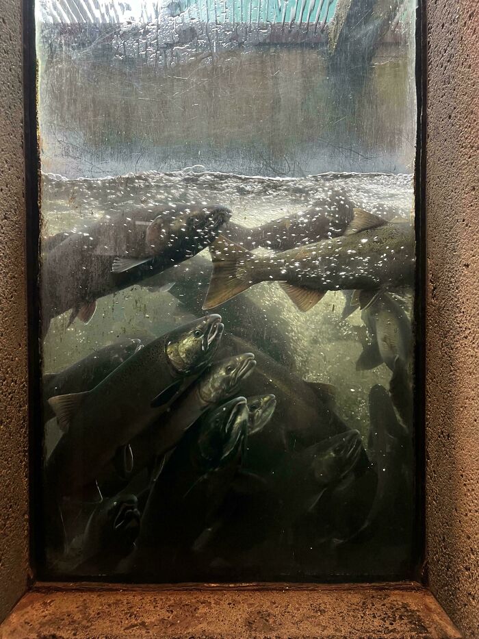 Oops! These Photos Look Like They Jumped Straight Out of a Renaissance Painting