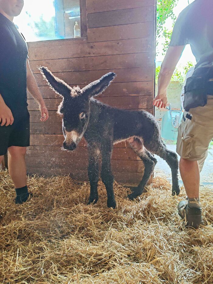 Oops! These Photos Look Like They Jumped Straight Out of a Renaissance Painting
