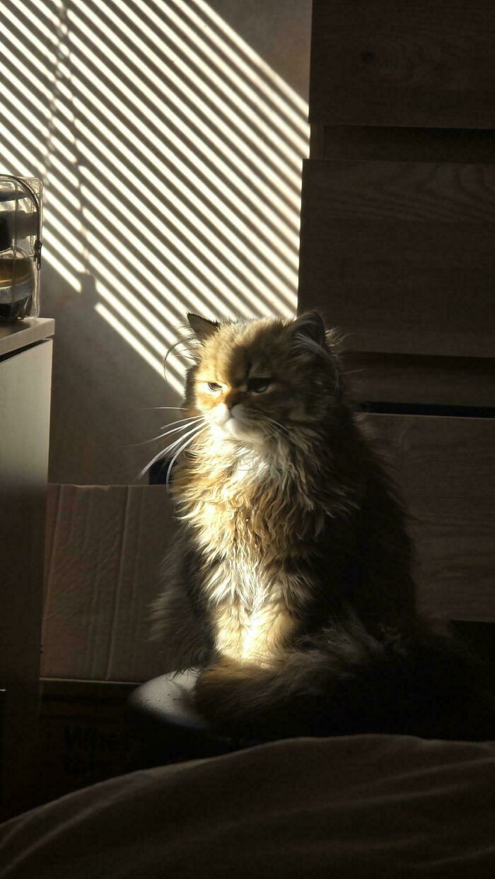 Oops! These Photos Look Like They Jumped Straight Out of a Renaissance Painting