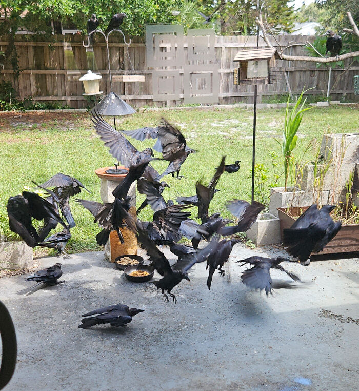 Oops! These Photos Look Like They Jumped Straight Out of a Renaissance Painting