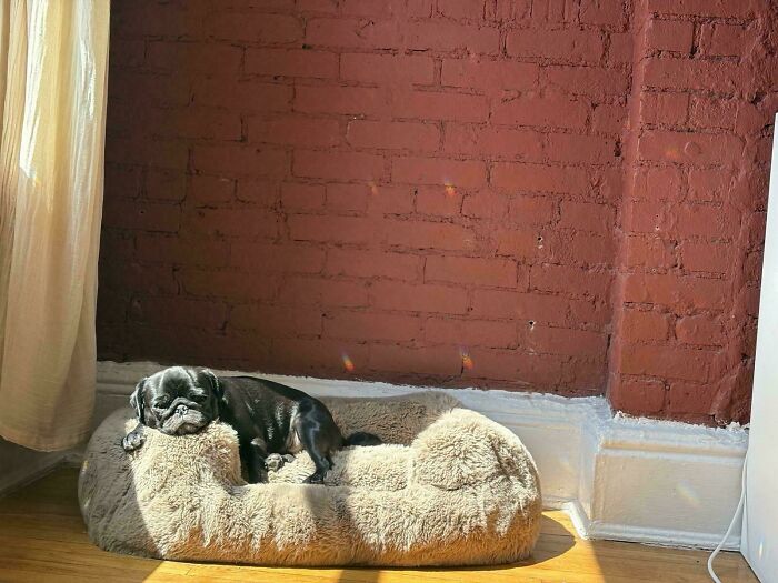 Oops! These Photos Look Like They Jumped Straight Out of a Renaissance Painting