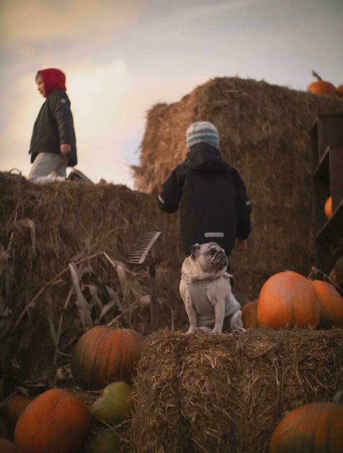 Oops! These Photos Look Like They Jumped Straight Out of a Renaissance Painting