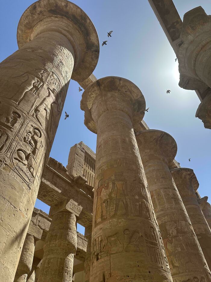 Oops! These Photos Look Like They Jumped Straight Out of a Renaissance Painting