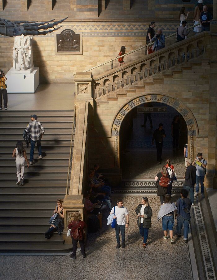 Oops! These Photos Look Like They Jumped Straight Out of a Renaissance Painting