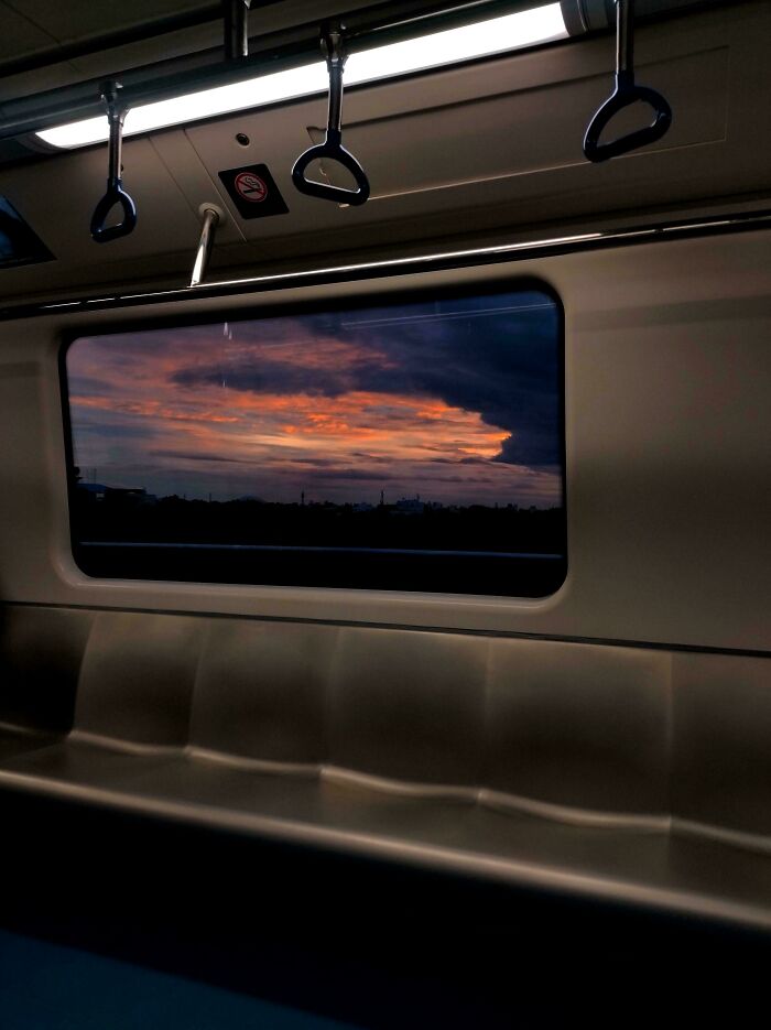 Oops! These Photos Look Like They Jumped Straight Out of a Renaissance Painting