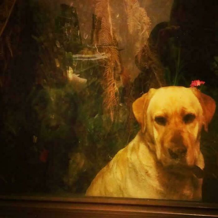 Oops! These Photos Look Like They Jumped Straight Out of a Renaissance Painting