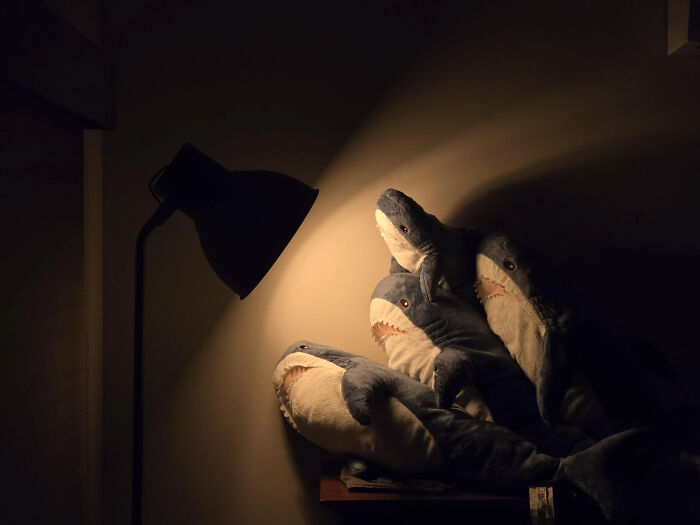 Oops! These Photos Look Like They Jumped Straight Out of a Renaissance Painting