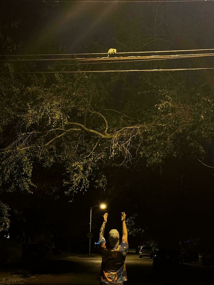 Oops! These Photos Look Like They Jumped Straight Out of a Renaissance Painting