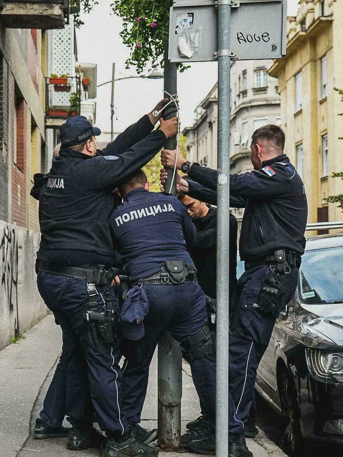 Oops! These Photos Look Like They Jumped Straight Out of a Renaissance Painting