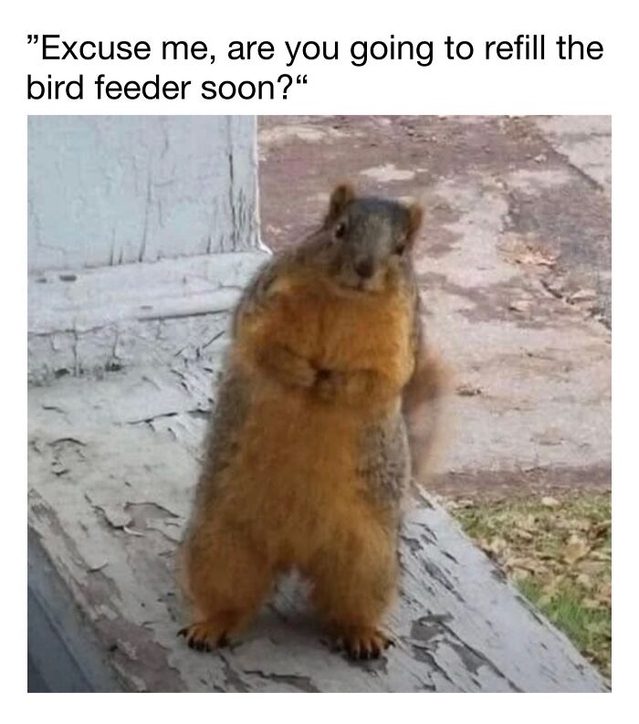 Wait Till You See These 50 Animals Totally Failing at Life (And We Love It)