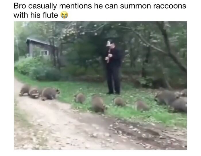 Wait Till You See These 50 Animals Totally Failing at Life (And We Love It)