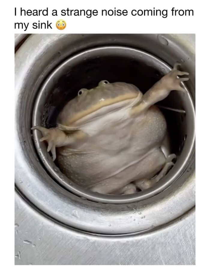 Wait Till You See These 50 Animals Totally Failing at Life (And We Love It)