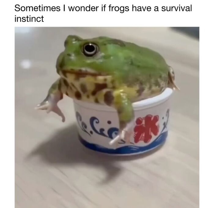 Wait Till You See These 50 Animals Totally Failing at Life (And We Love It)