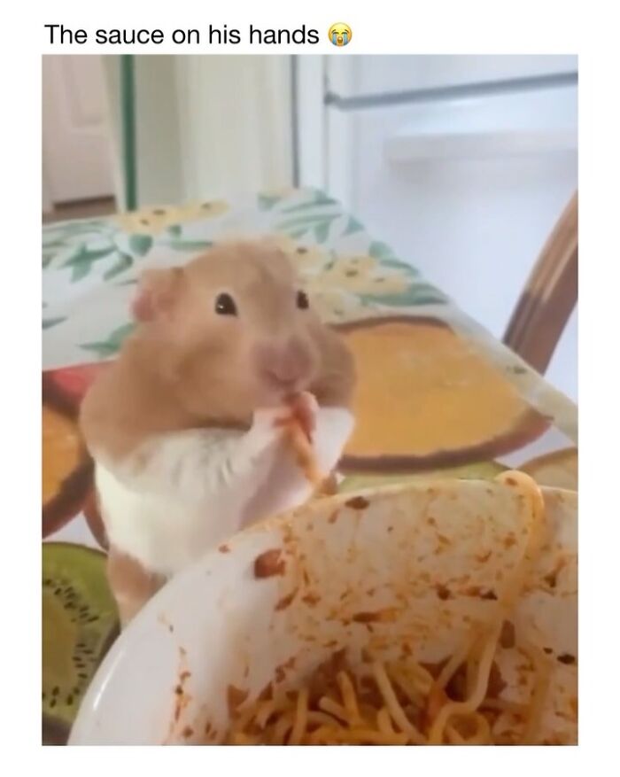 Wait Till You See These 50 Animals Totally Failing at Life (And We Love It)