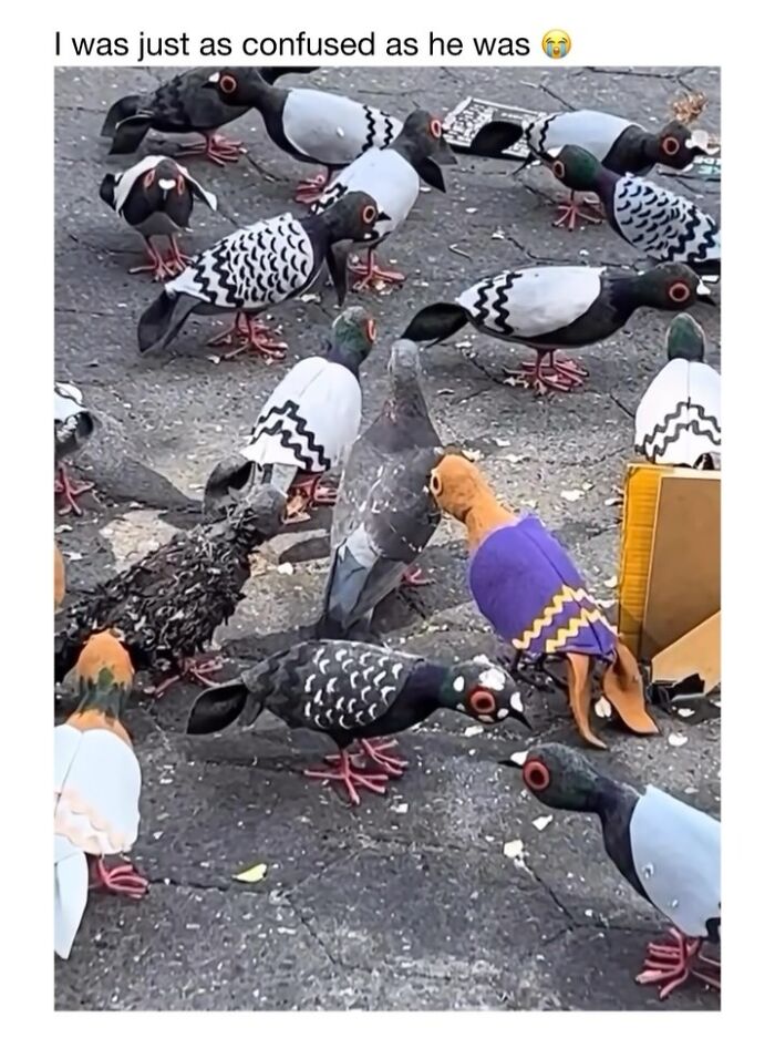 Wait Till You See These 50 Animals Totally Failing at Life (And We Love It)