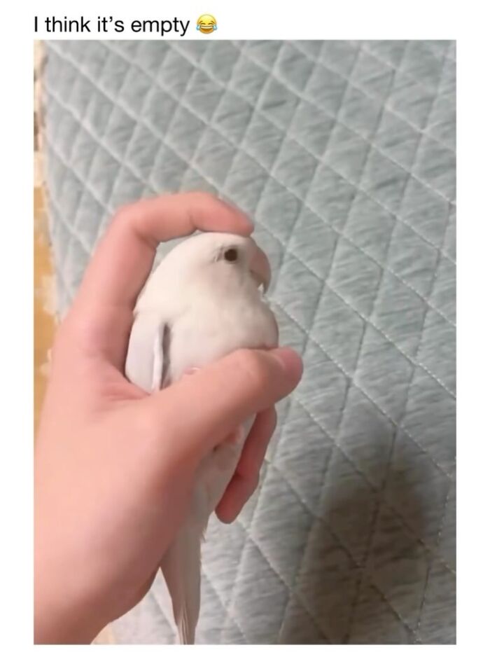 Wait Till You See These 50 Animals Totally Failing at Life (And We Love It)