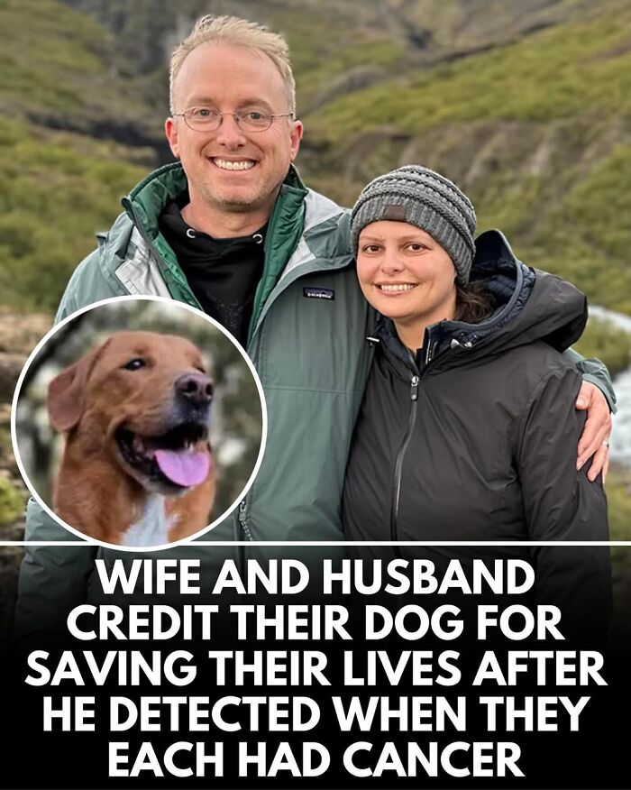 50 Doggos With Stories That'll Make You Smile, Cry, & Say 'No Way!'