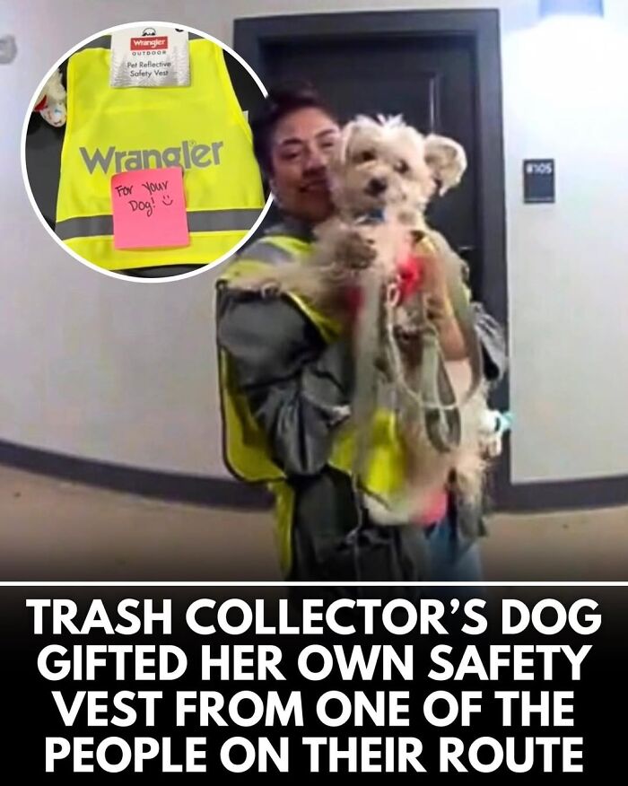 50 Doggos With Stories That'll Make You Smile, Cry, & Say 'No Way!'