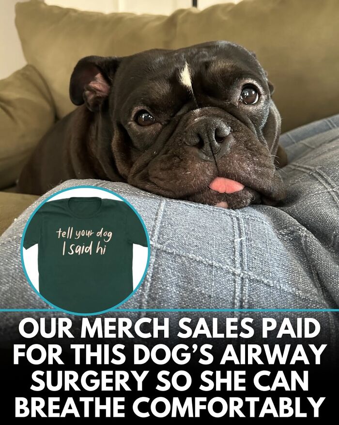 50 Doggos With Stories That'll Make You Smile, Cry, & Say 'No Way!'