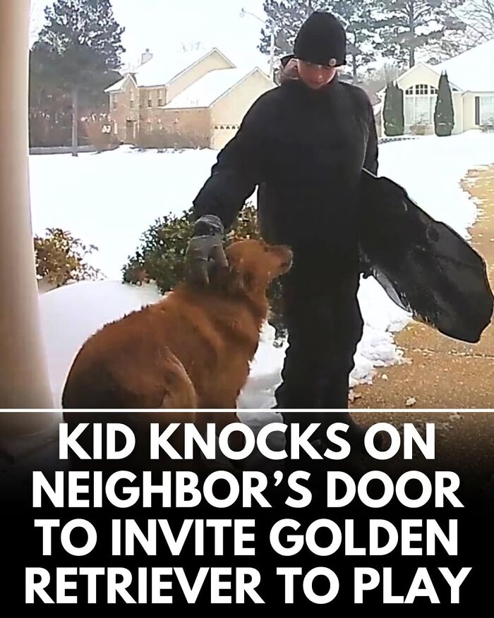 50 Doggos With Stories That'll Make You Smile, Cry, & Say 'No Way!'