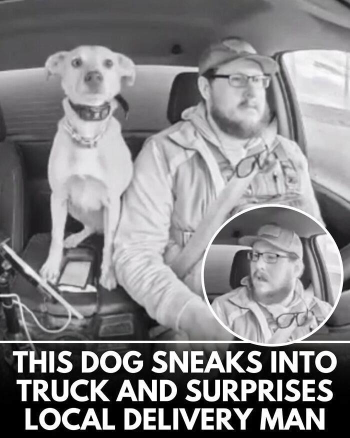 50 Doggos With Stories That'll Make You Smile, Cry, & Say 'No Way!'