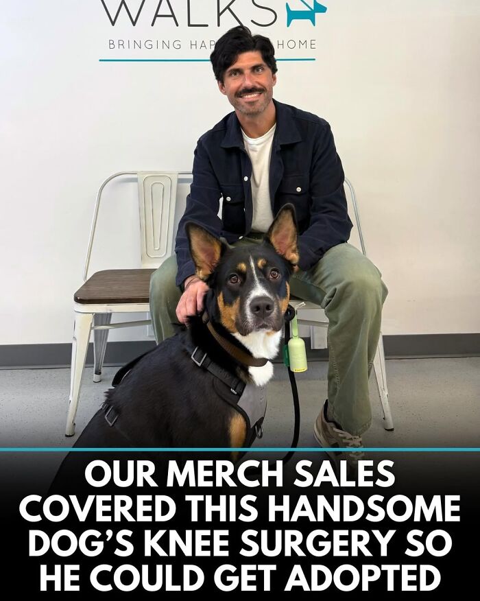 50 Doggos With Stories That'll Make You Smile, Cry, & Say 'No Way!'