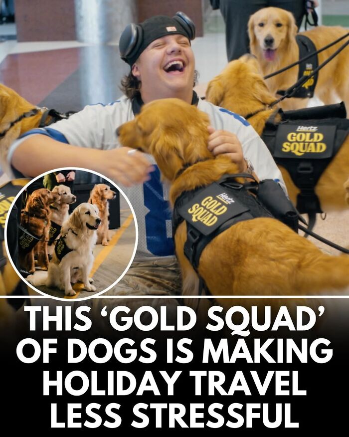 50 Doggos With Stories That'll Make You Smile, Cry, & Say 'No Way!'