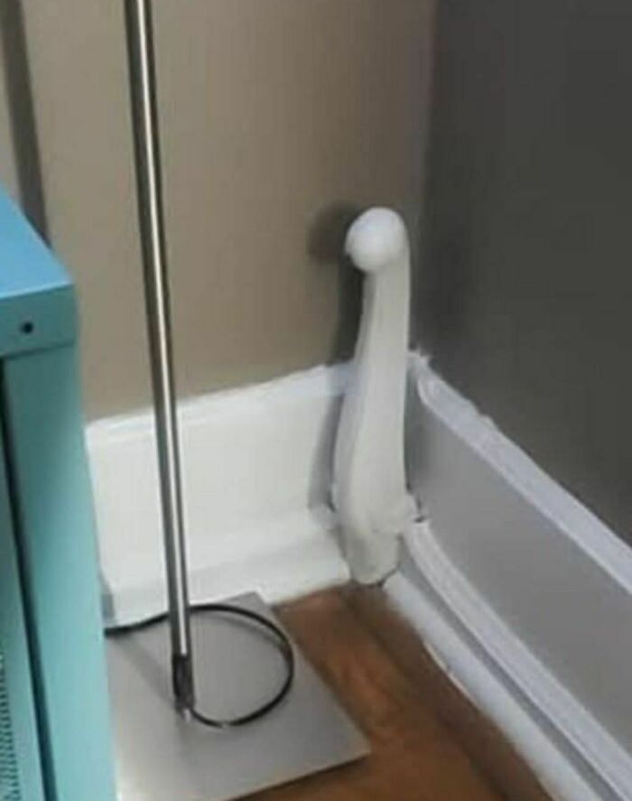 What’s That Bulbous Thing On The Baseboards?