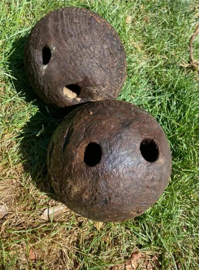 What Are These Odd Balls Found In The Basement?