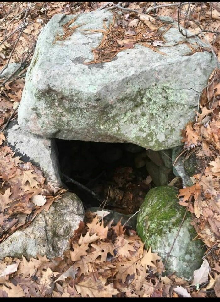 Mysterious Old Well Found In The Backwoods—Thoughts?