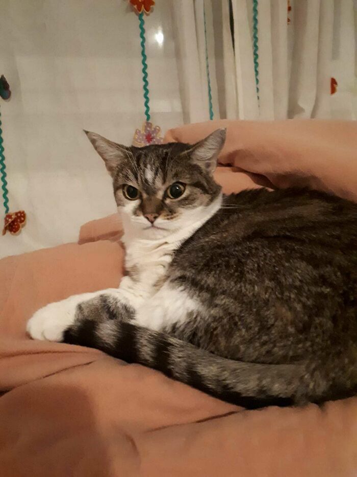 Meet Betty. She Hates Everyone. Especially You.