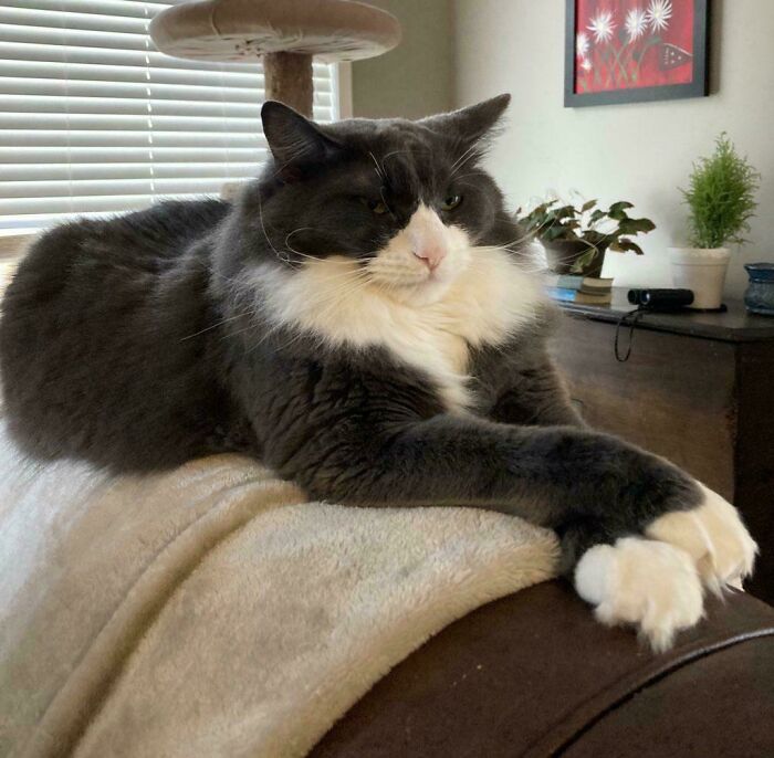 Wait, They Actually Sent Us 100+ Cutest Animal Pics?!