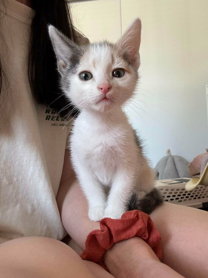 Wait, They Actually Sent Us 100+ Cutest Animal Pics?!