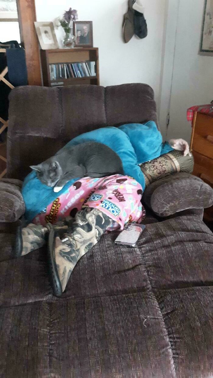 Wait, They Actually Sent Us 100+ Cutest Animal Pics?!