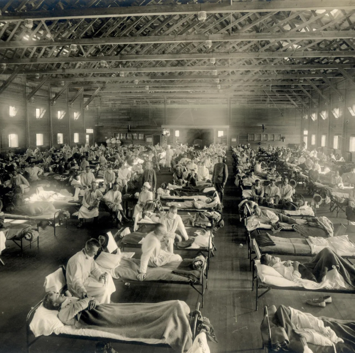 Spanish Flu: The 1918 Virus That Stopped the World